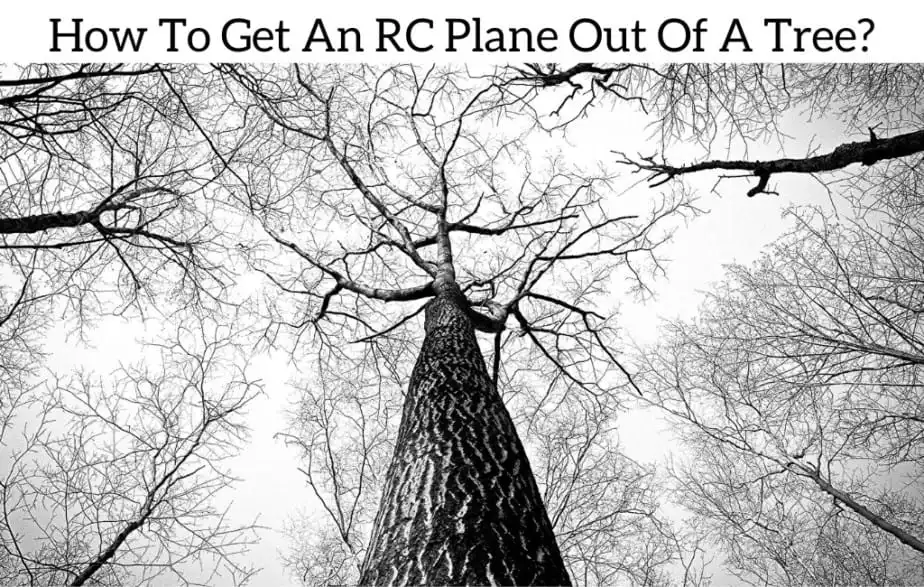 How To Get An RC Plane Out Of A Tree?