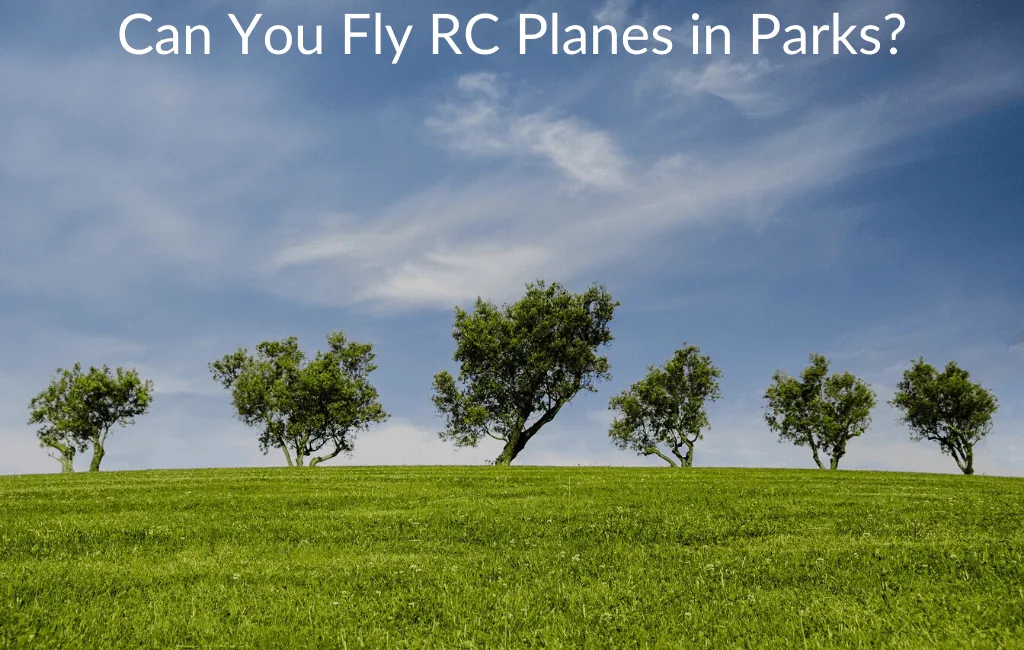 Can You Fly RC Planes in Parks?